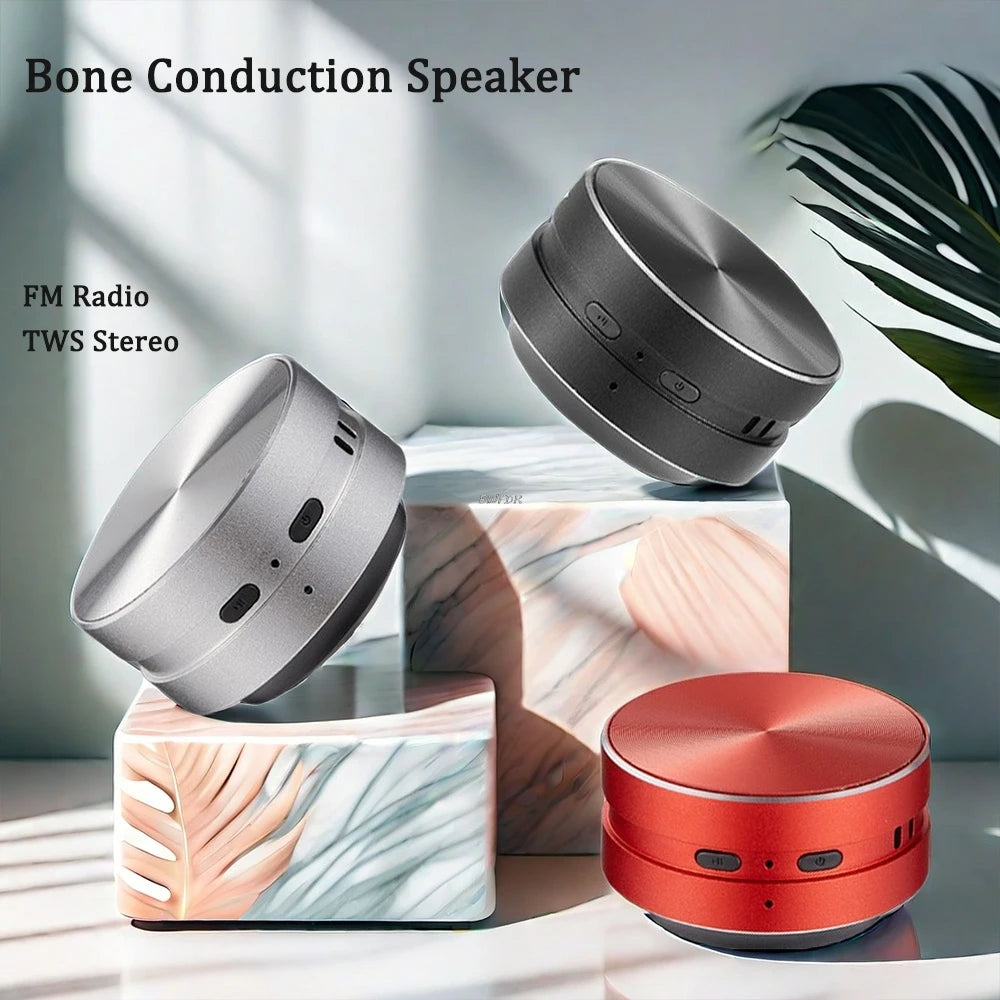 2025 New Bone Conduction Bluetooth Speaker TWS Wireless 3D Stereo Sound Hummingbird Speaker With FM Radio Dropshipping Wholesale
