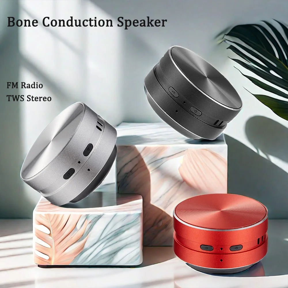 2025 New Bone Conduction Bluetooth Speaker TWS Wireless 3D Stereo Sound Hummingbird Speaker With FM Radio Dropshipping Wholesale