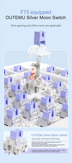 75% Hot Swap Gaming Keyboard Wireless FREEWOL F75 RGB Mechanical Keyboard with Metal Knobs AULA F75 Same Model,Tri-Mode,4000 mAh.